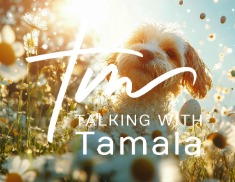 Motivation, Inspiration & Purpose 